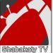 تحميل تطبيق شبكتي TV مجانا shabakaty tv